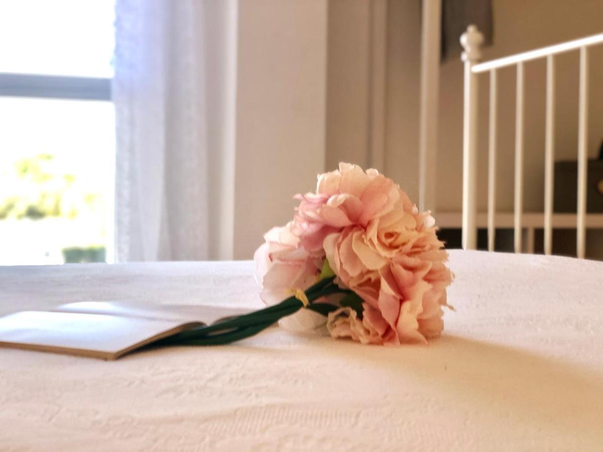 Firenze 53 Apartment ออลเบีย ภายนอก รูปภาพ